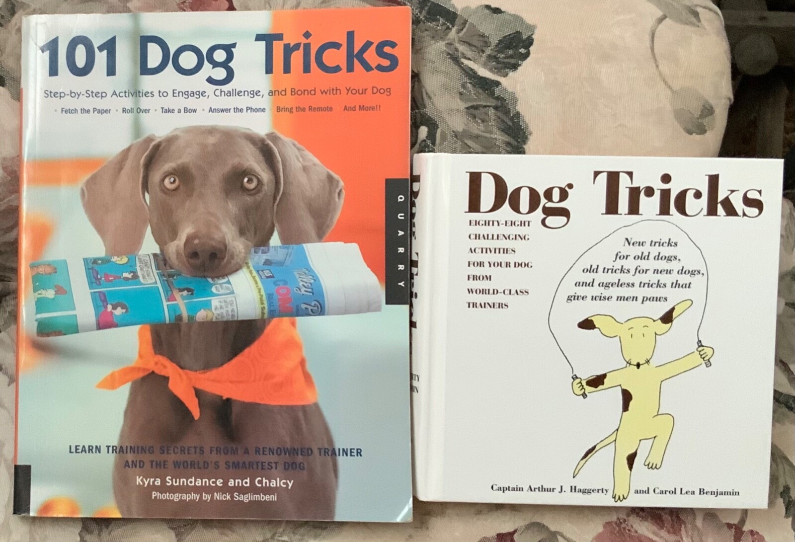 Teaching Dog Tricks 2 New Dog Training Books Capt. Haggerty...