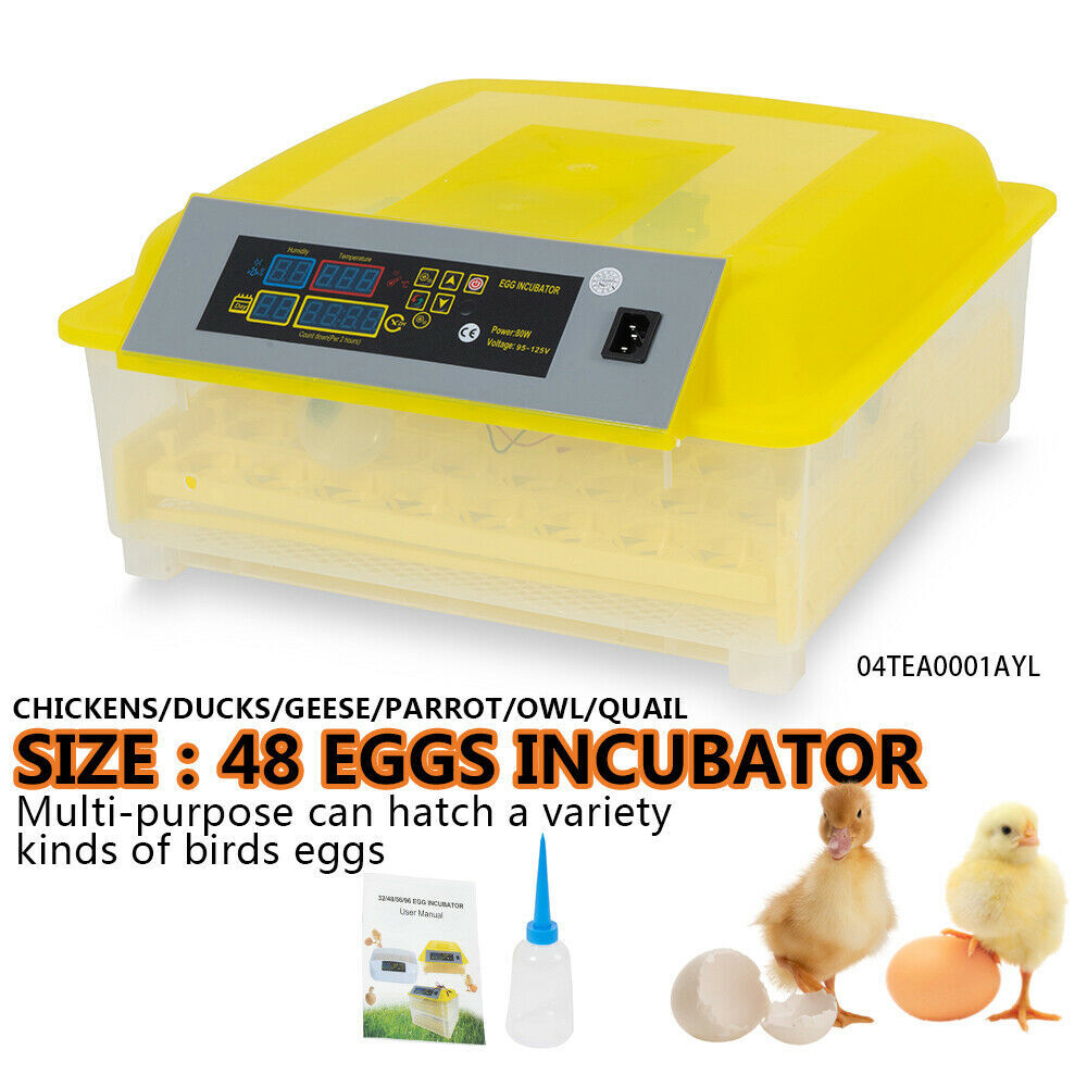 Digital Egg Incubator Hatch Automatic Temperature Control
