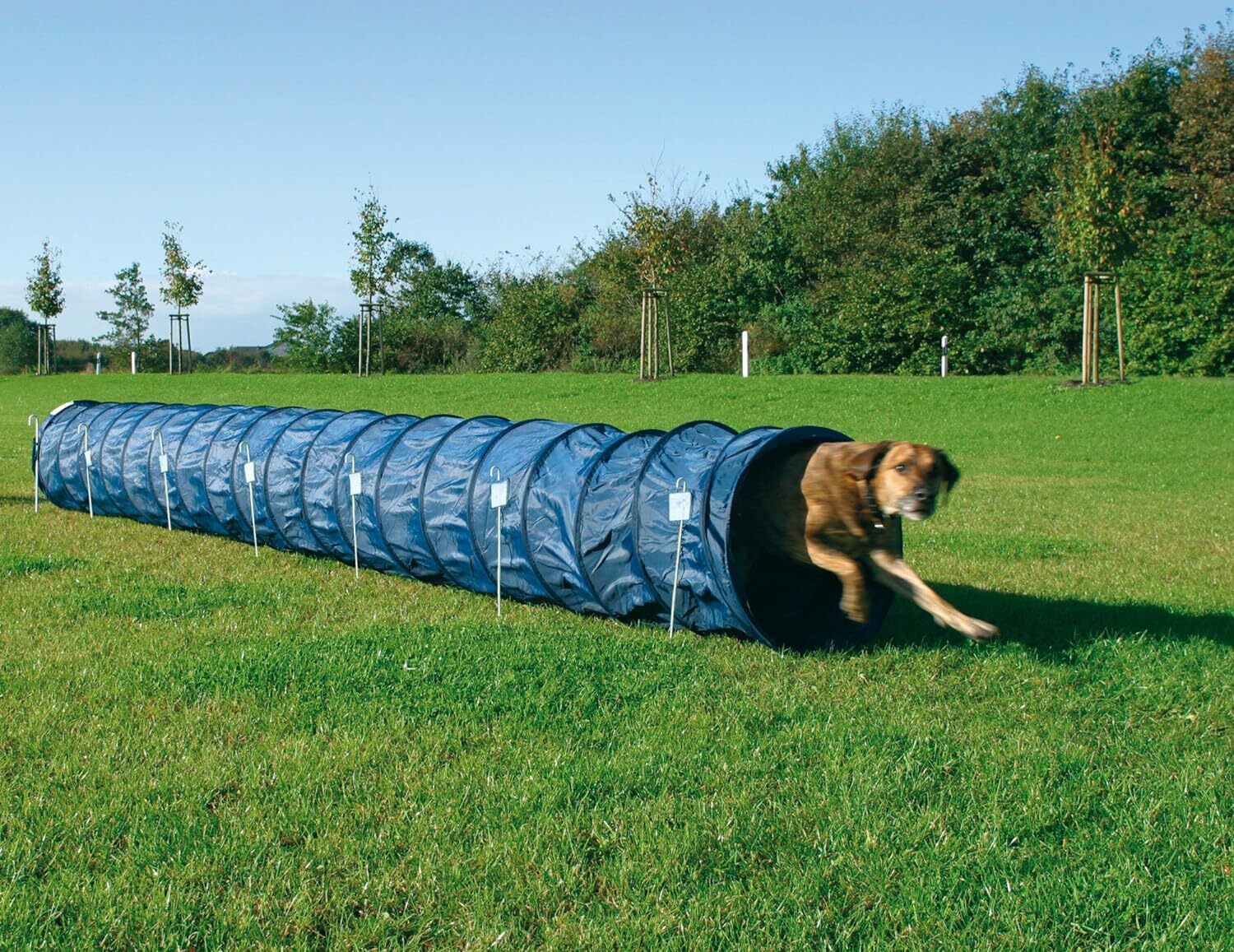 Portable Dog Agility Tunnel, 16.5 Feet, Obedience Training