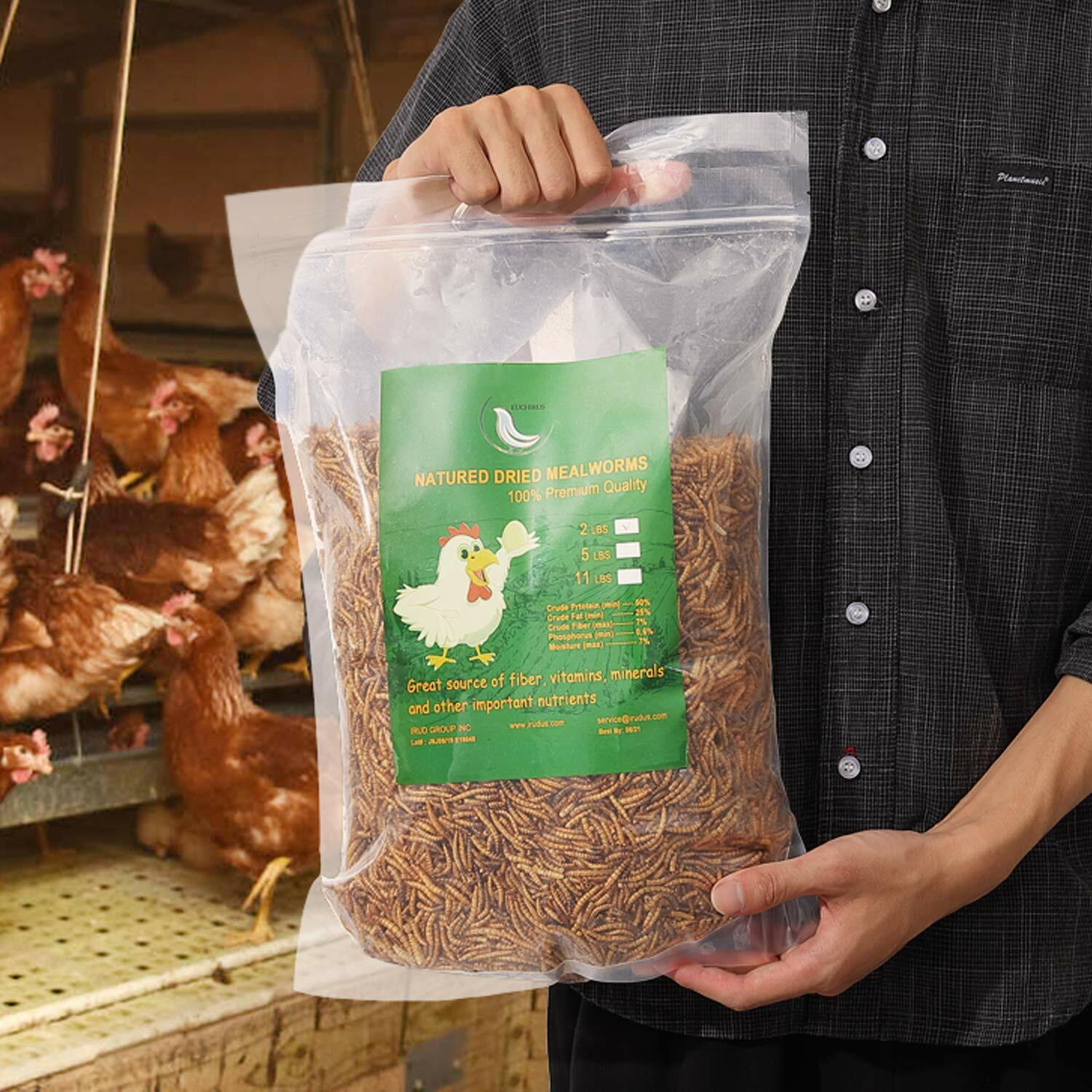 Non-GMO Mealworms for Birds, Chickens, Fish, Reptiles, Turtl...