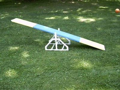Dog Agility Equipment - Teeter Stand - Sale