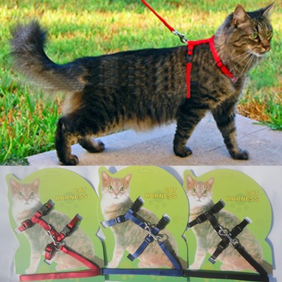 Pet Safety Lead Leash Cat Kitten Adjustable Collar Strap Rop...