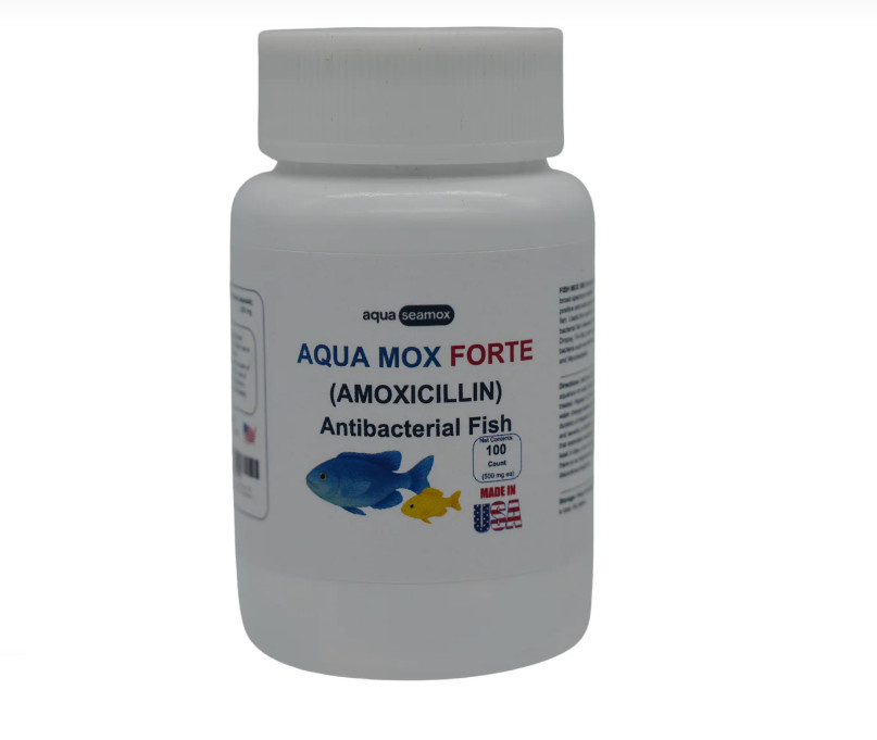 Aquarium Fish AQUA 500 100 Pack Today