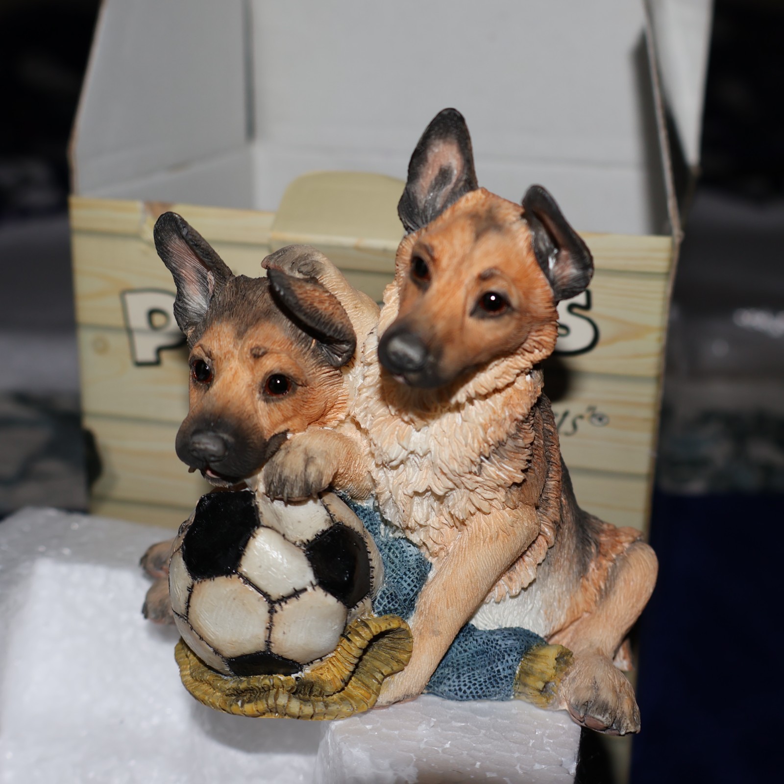 German Shepherd Alsatian Puppies - Match of the Day Country...