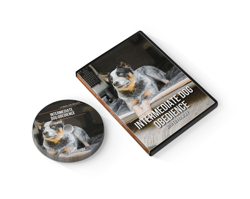 Intermediate Dog Obedience Dvd By Leerburg