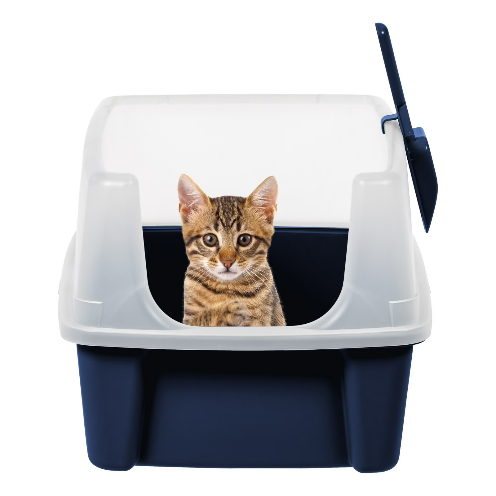 Navy Cat Litter Box - High Sided Open Top with Scoop