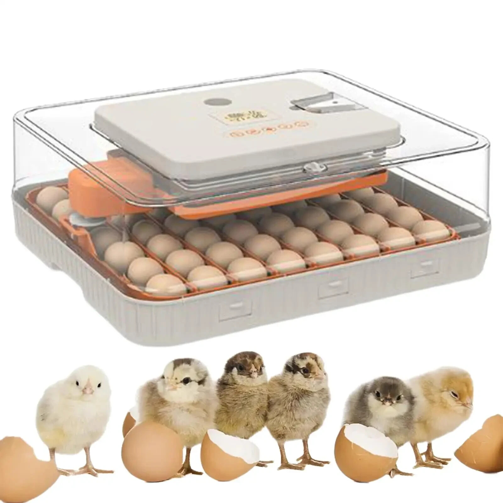 Farm Egg Incubator - Dual Power Hatching Candler (Automatic)...