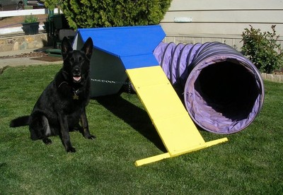 Dog Agility Contact Trainer & 12' Tunnel Equipment Set
