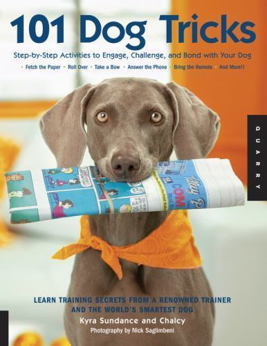 Dog Trick Step-by-Step Activities for Bonding Engagement