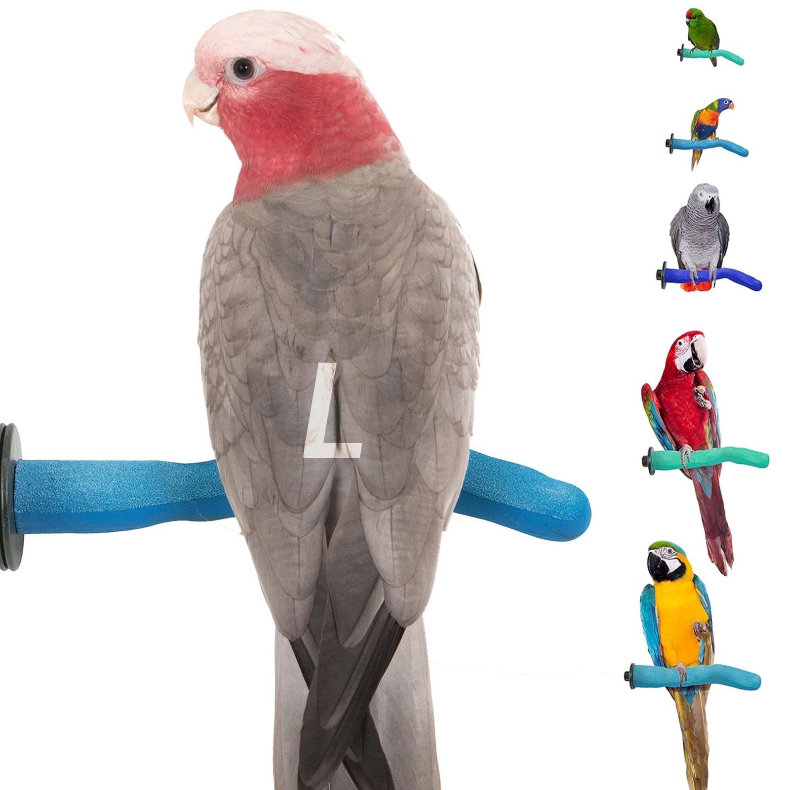 Sweet Feet & Beak Safety Bird Perch - Large 1.5" x 12"