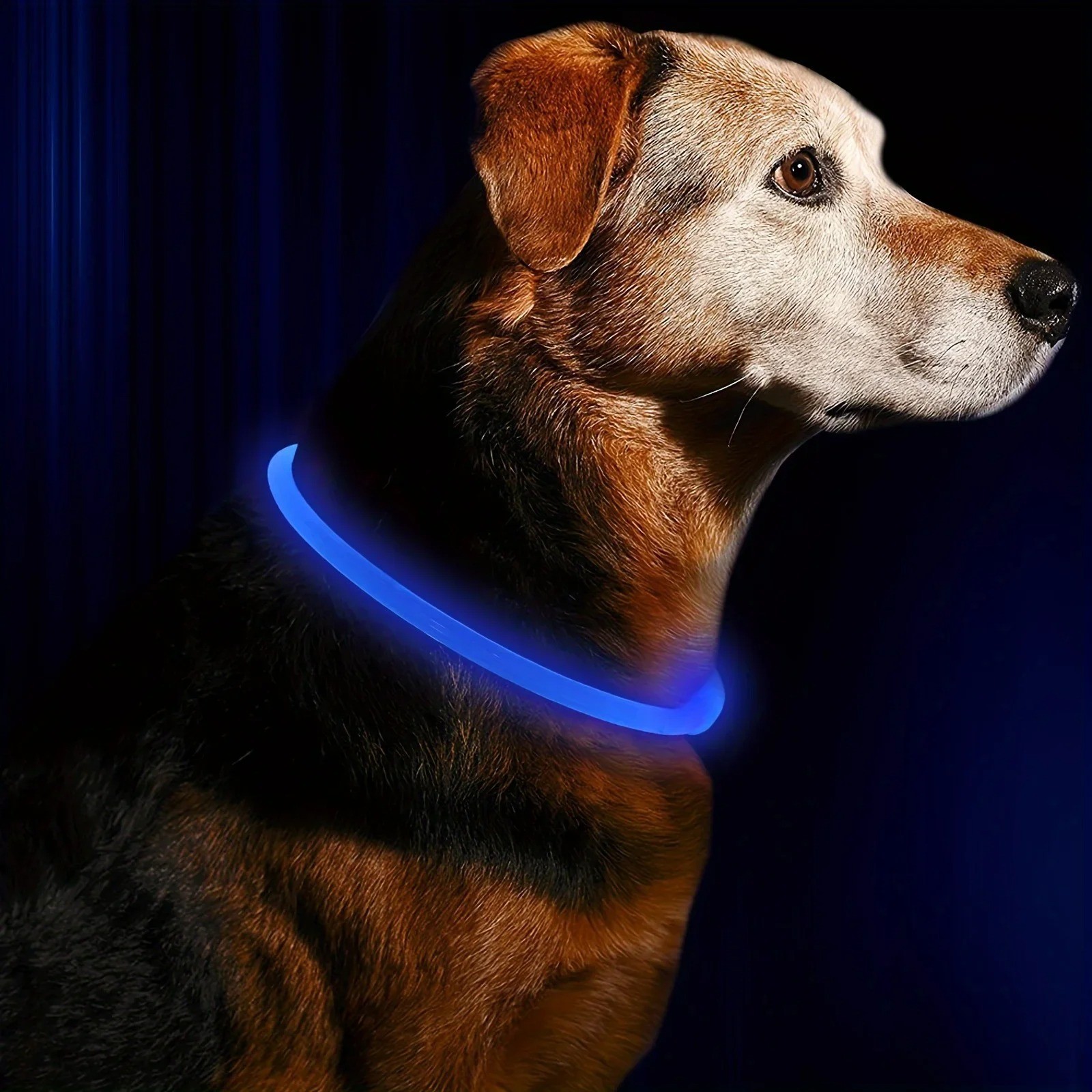Bright Adjustable LED Dog Collar Night Safety Pet Safety
