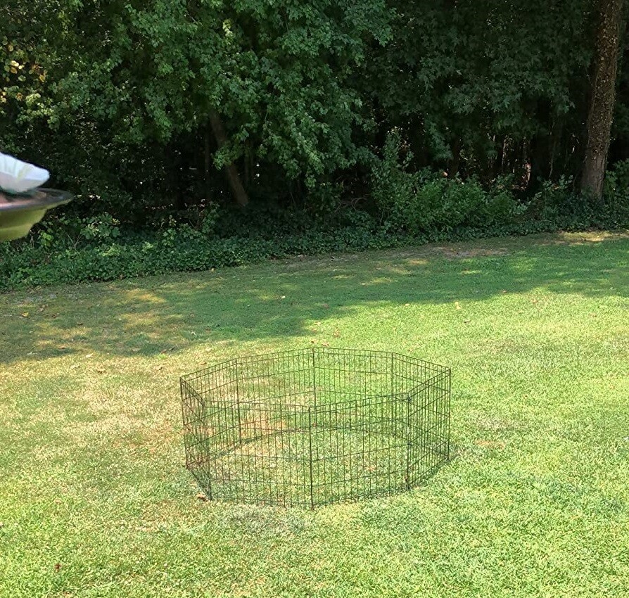 Metal Play Pen for Dogs & Cats - 24" Tall Wire Fence Exercis...