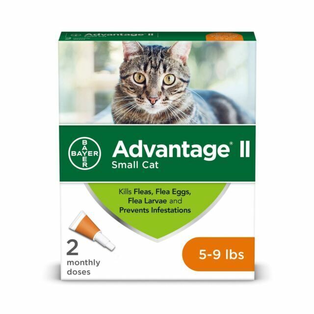 Advantage Flea Prevention for Small Cats (5-9 lbs) - Monthly...