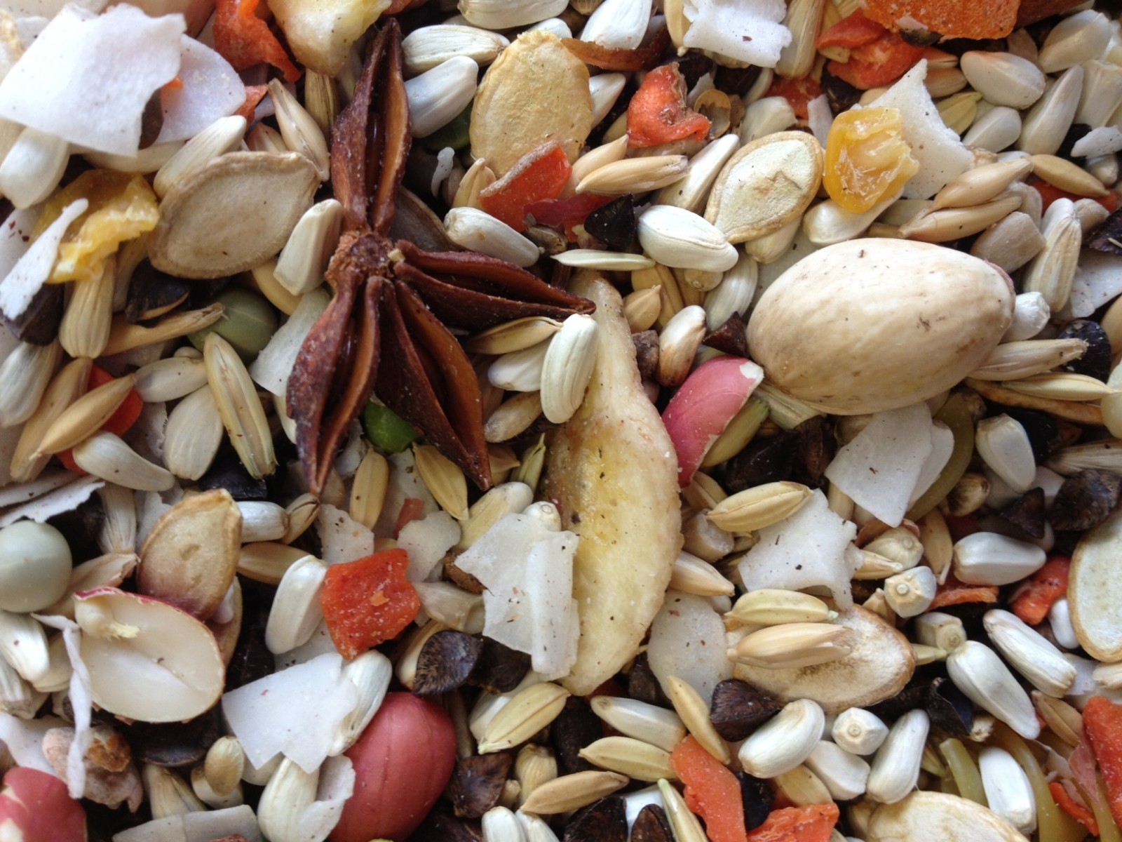 African Grey Cockatoo Bird Food - Medium to Large Parrot Fee...