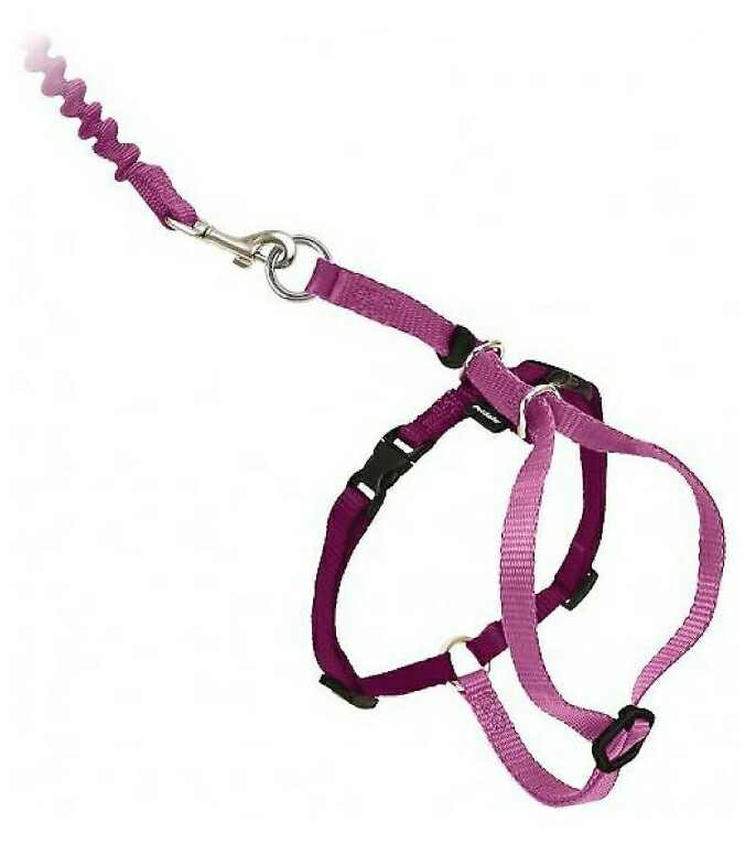 PetSafe Kitty Catharsis Medium Cat Carrier Kit