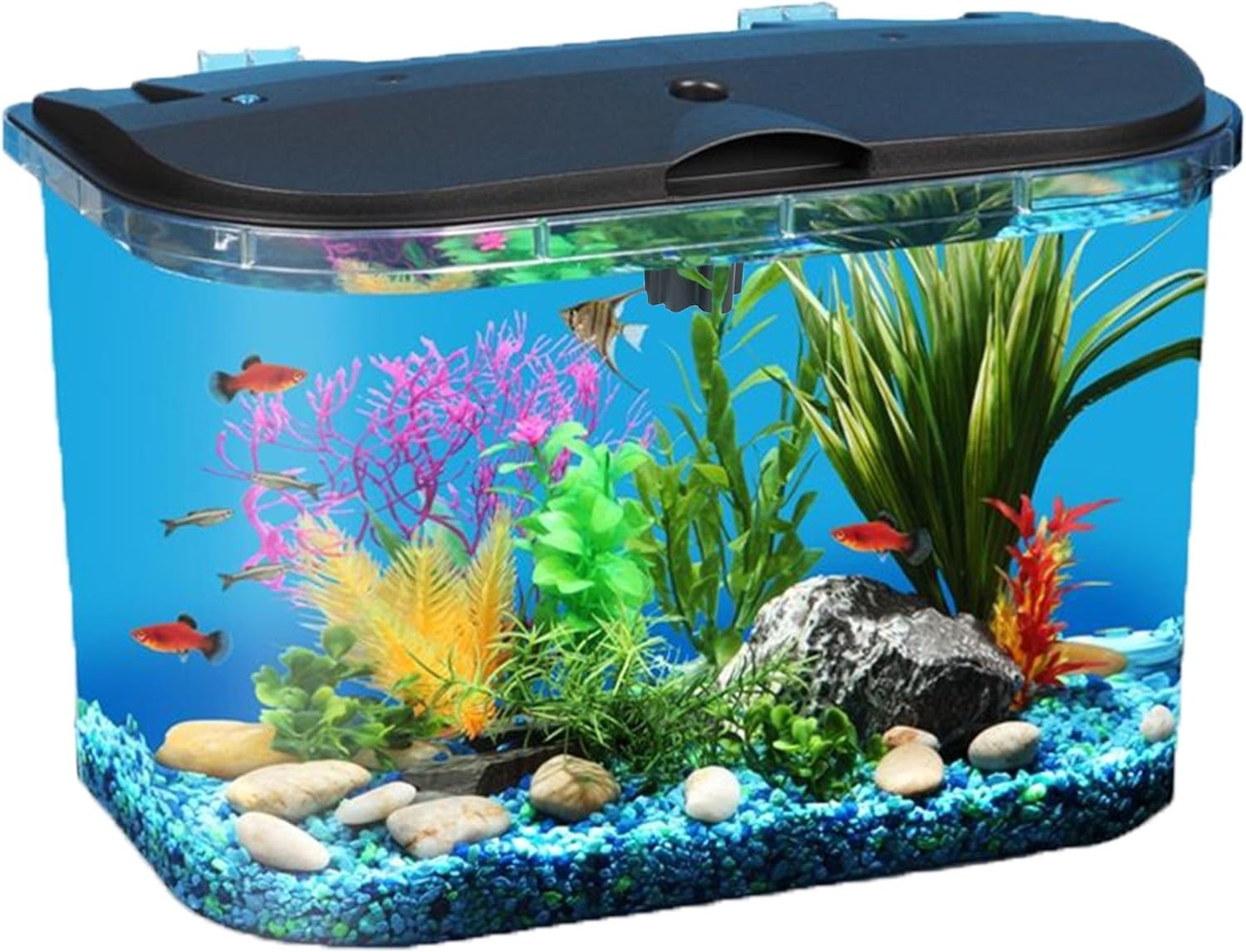 LED Aquarium Kit - 5 Gallon Setup with Power Filter and Ligh...
