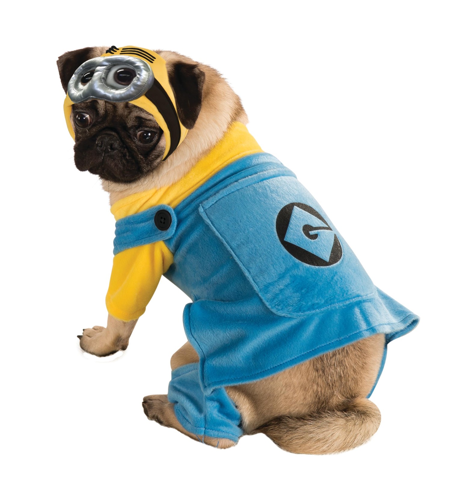 Despicable Me Minion Multicolor XL Pet Costume