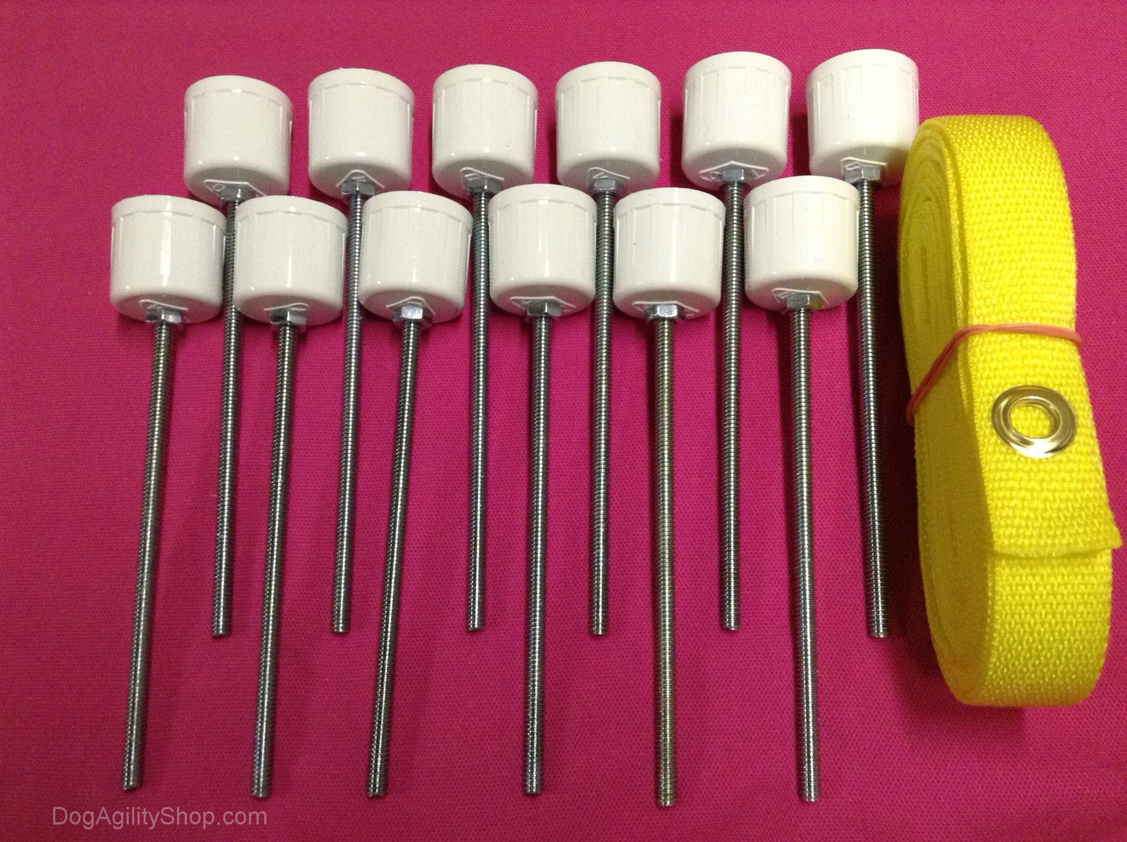 Dog Agility Equipment: 12 Weave Pole Spikes & Stakes Combo Y...