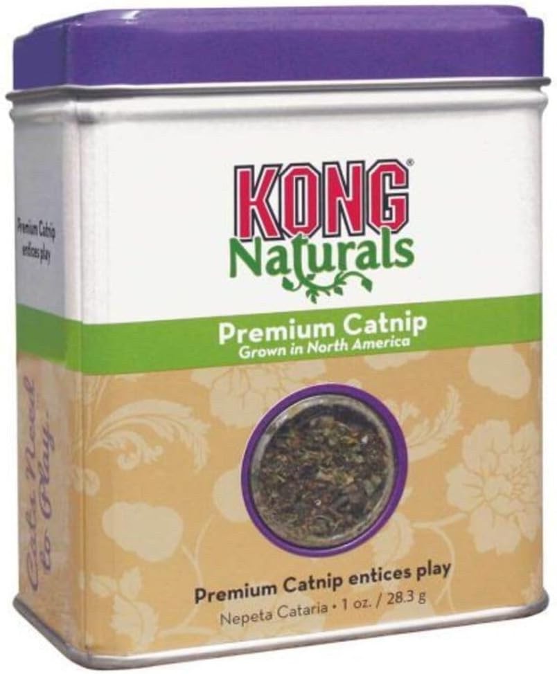 Kong Catnip Toy
