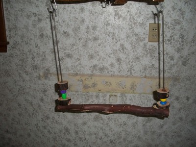 Large Parrot Manzanita Swing, Perch, Hard Wood, Stainless St...