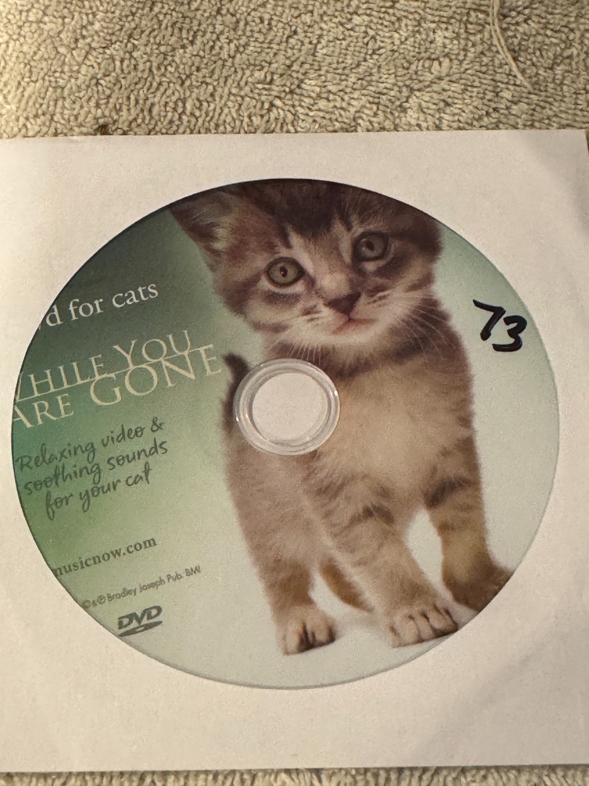Relaxing Cat DVD Collection - Soothing Video & Sounds
