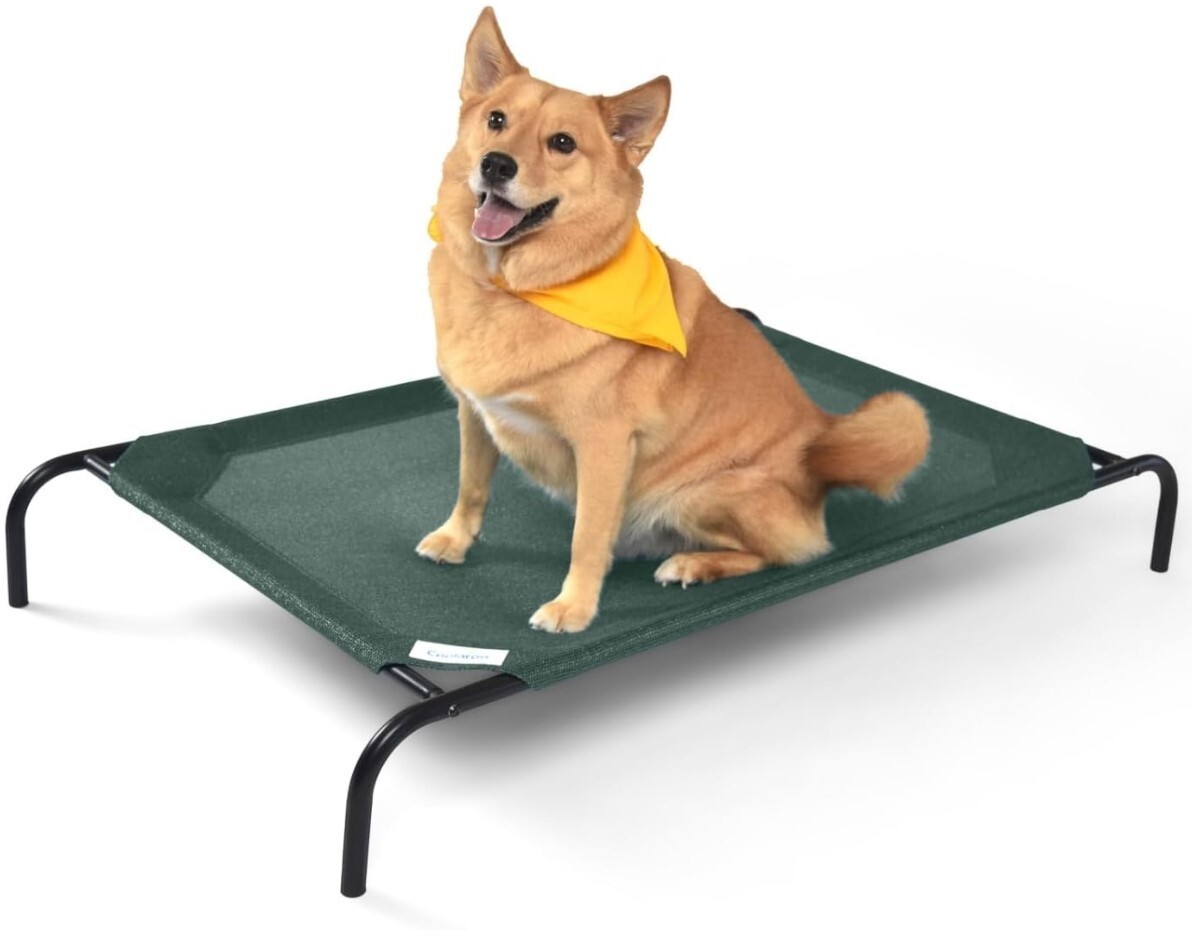 Coolaroo Original Elevated Pet Bed - Large - Brunswick Green