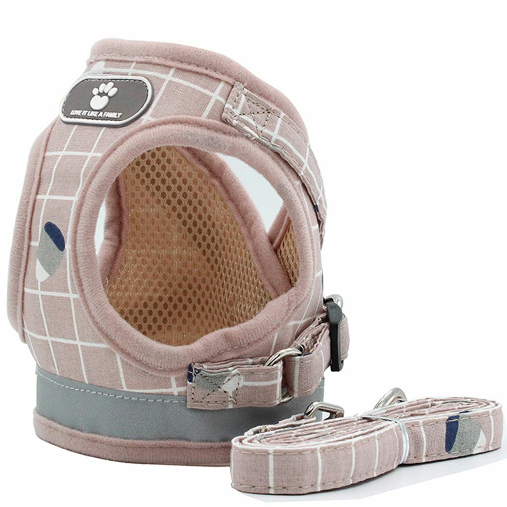 Breathable Mesh Puppy Harness & Leash Set (XS-XL)