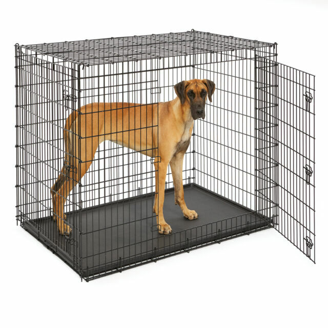 Ginormus Double Door Dog Crate - Midwest SL54DD