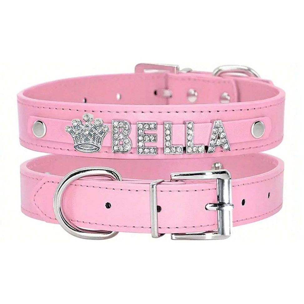 Personalized Dog Collar with Rhinestone Name Tag