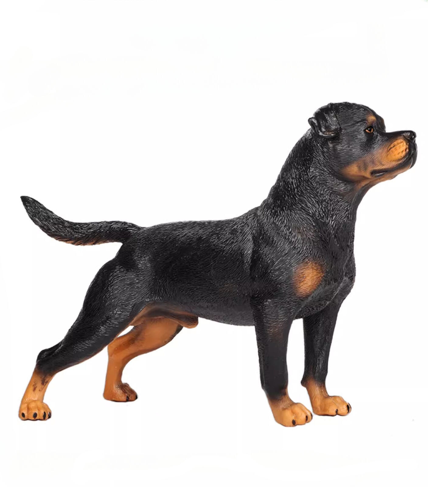 Rottweiler Resin Statue Figure - Xmas Gift - 1/6 Scale Model