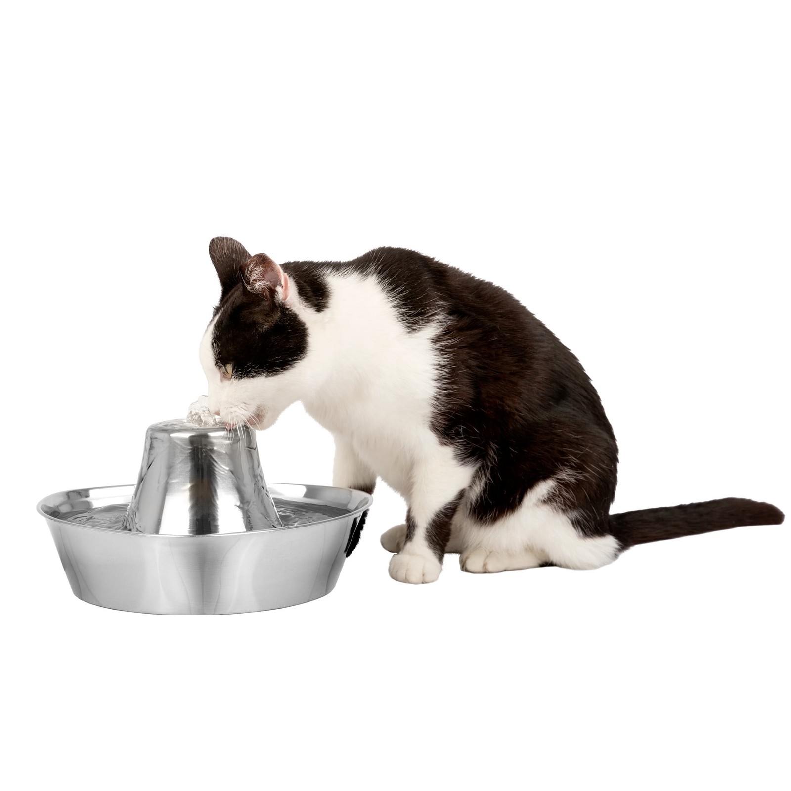 PetSafe Seaside Stainless Automatic Water Bowl for Pets - 60...