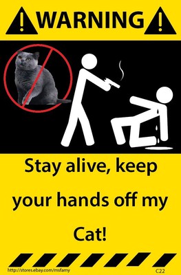 Cat Warning Sticker Funny Decal For Your Pet C22