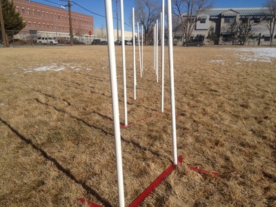Dog Agility Equipment Weave Poles For Training 24"