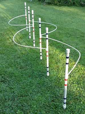Dog Agility Equipment Weave Poles With Guide Wires And Space...