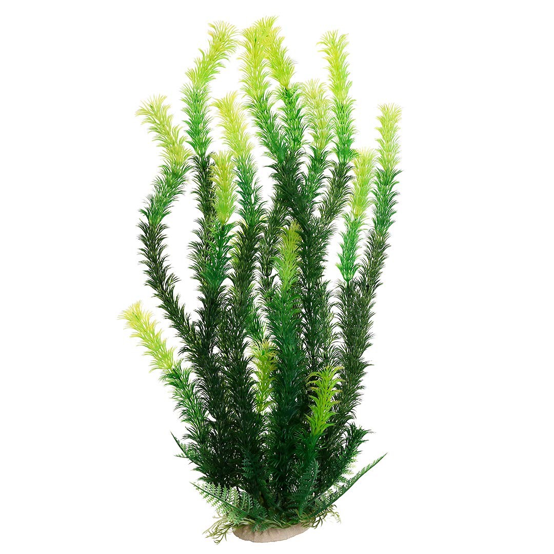 Rhodo Green Aquarium Plant Ornament, 17 Inch