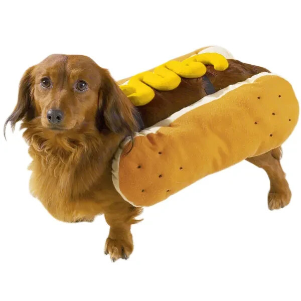 Casual Canine Sm-Lg Halloween Costume - Hot Diggity Dog Spoo...