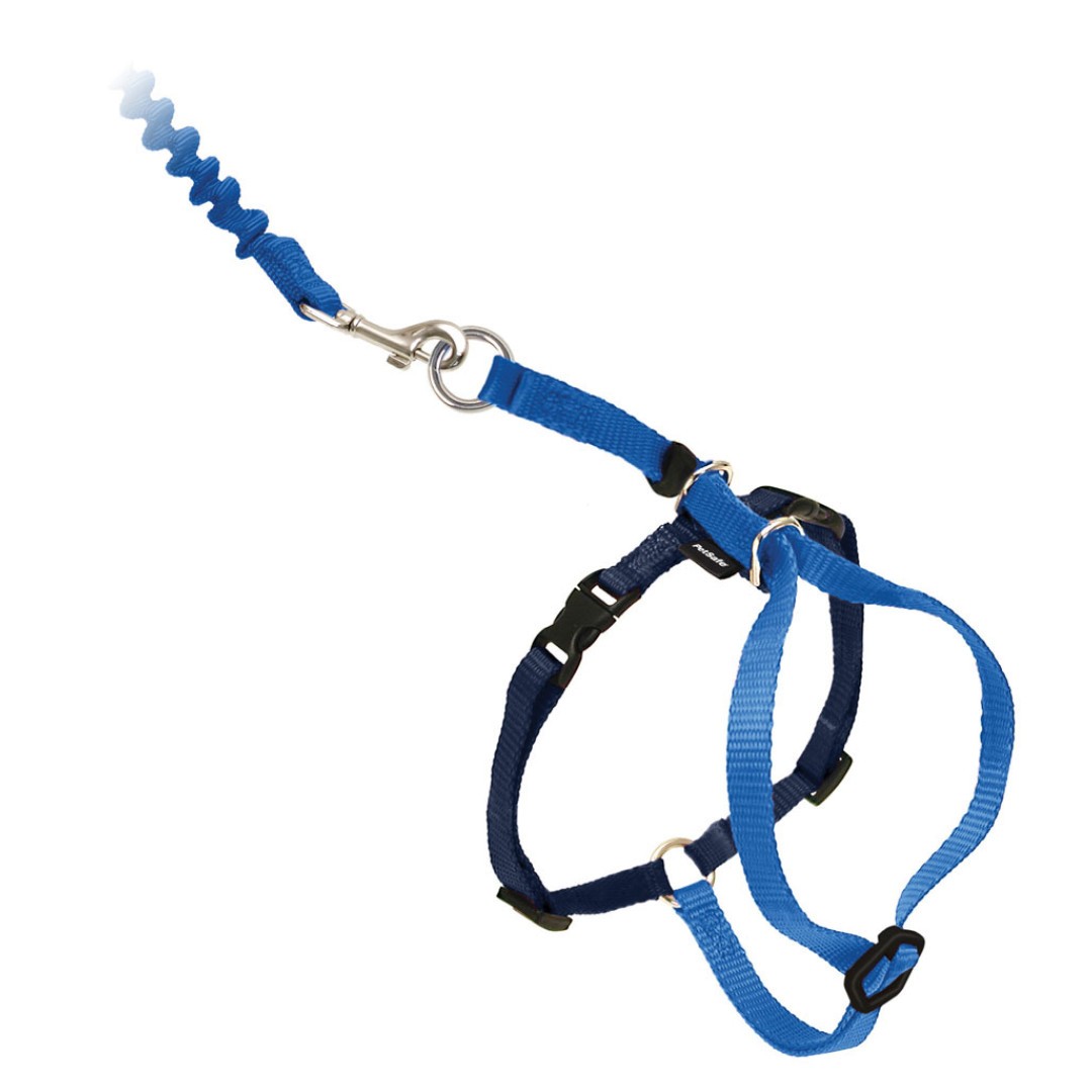 PetSafe Come With Me Kitty Cat Harness and Bungee Leash Blue...