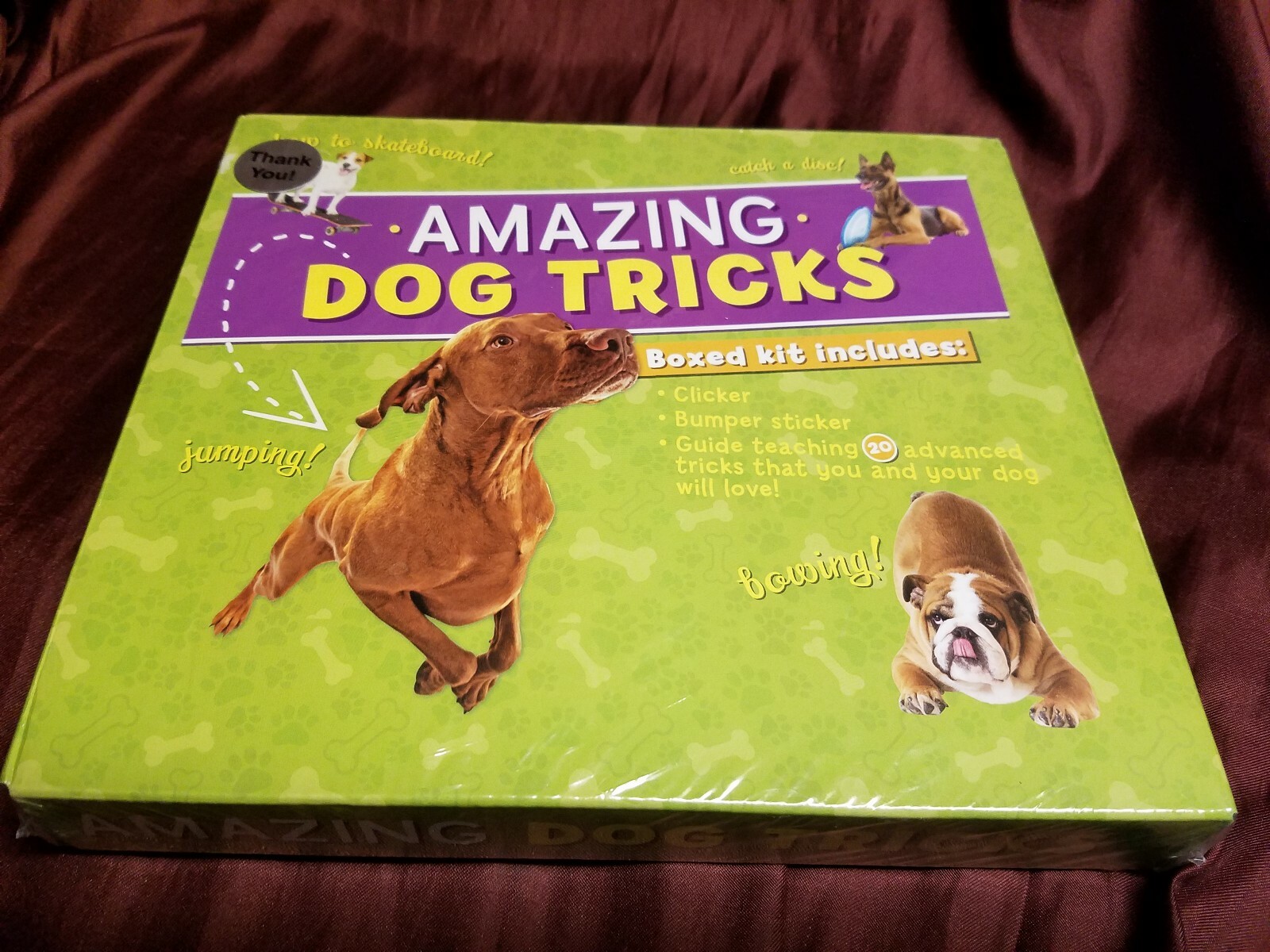 Amazing Dog Tricks Training Guide Kit