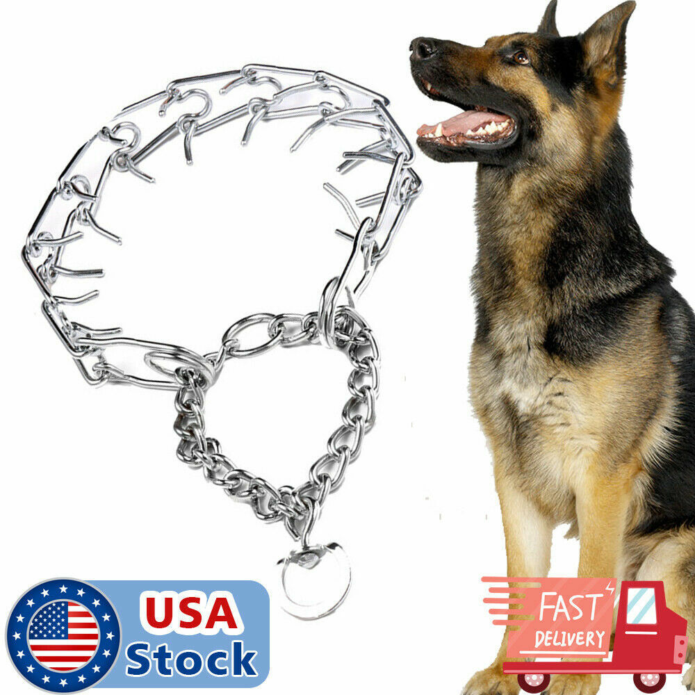 Adjustable Metal Dog Training Collar with Pinch Prongs