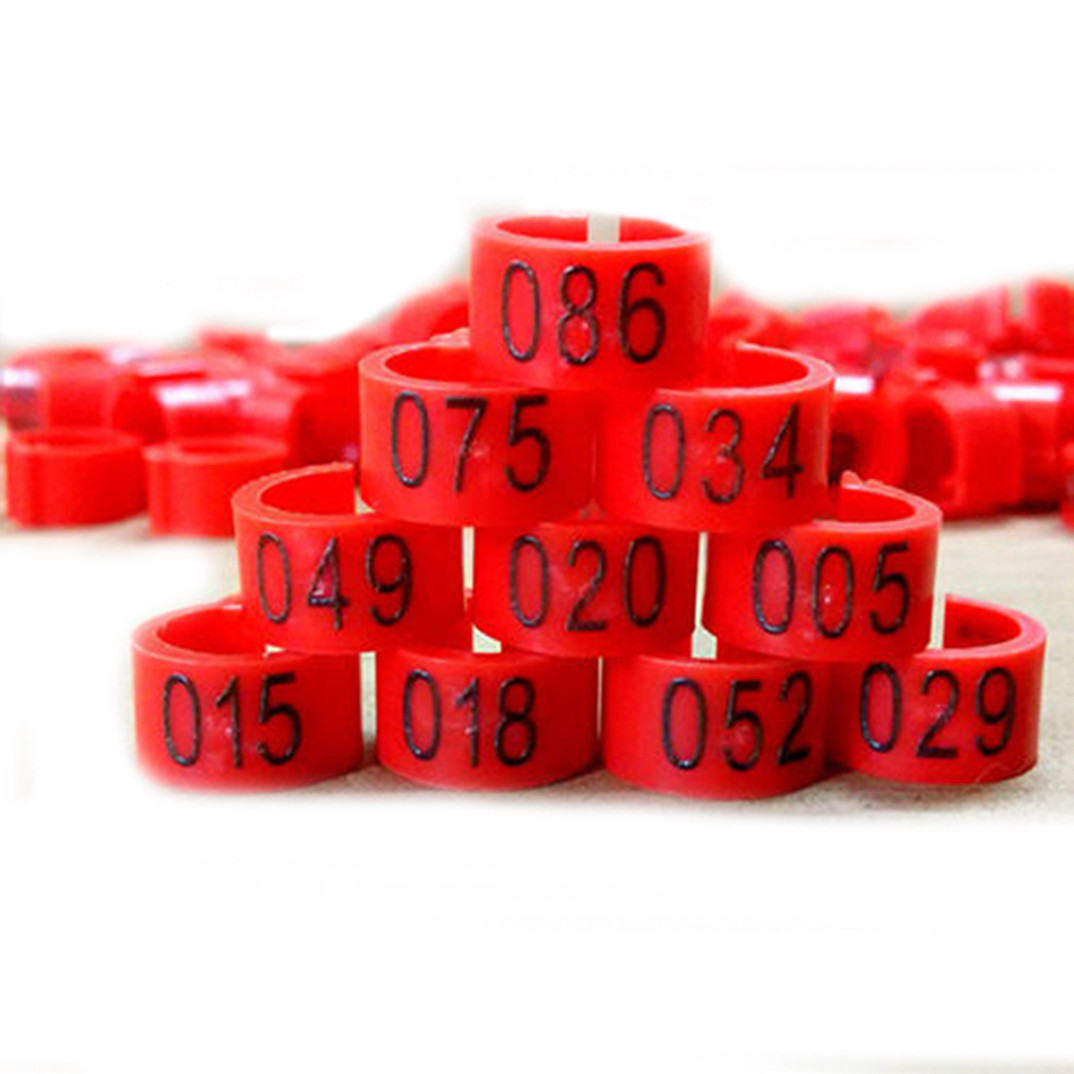 Poultry Bird Rings - 8mm, 100 Pieces Numbered Leg Bands