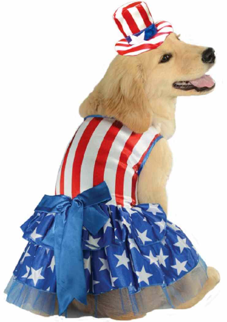 Patriotic July 4th Halloween Dog Cat Costume