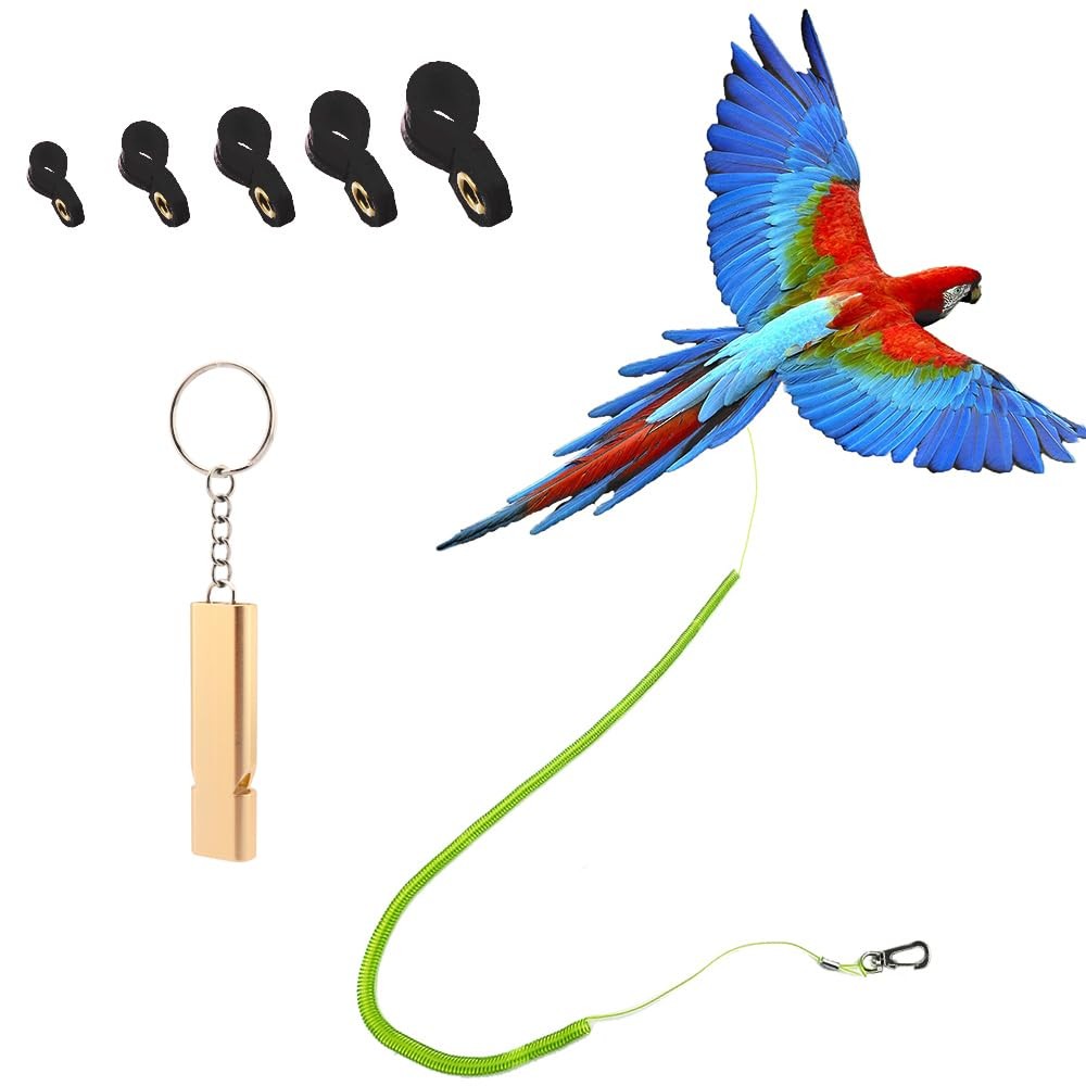 Parrot Bird Harness Leash Anti-Bite Outdoor Flying Training...