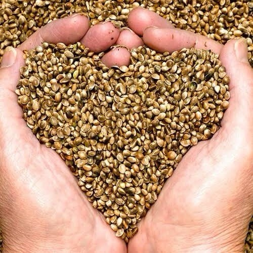 Hemp Seed Bird Food - 2LB High Protein Omega-6 Feed for Chic...