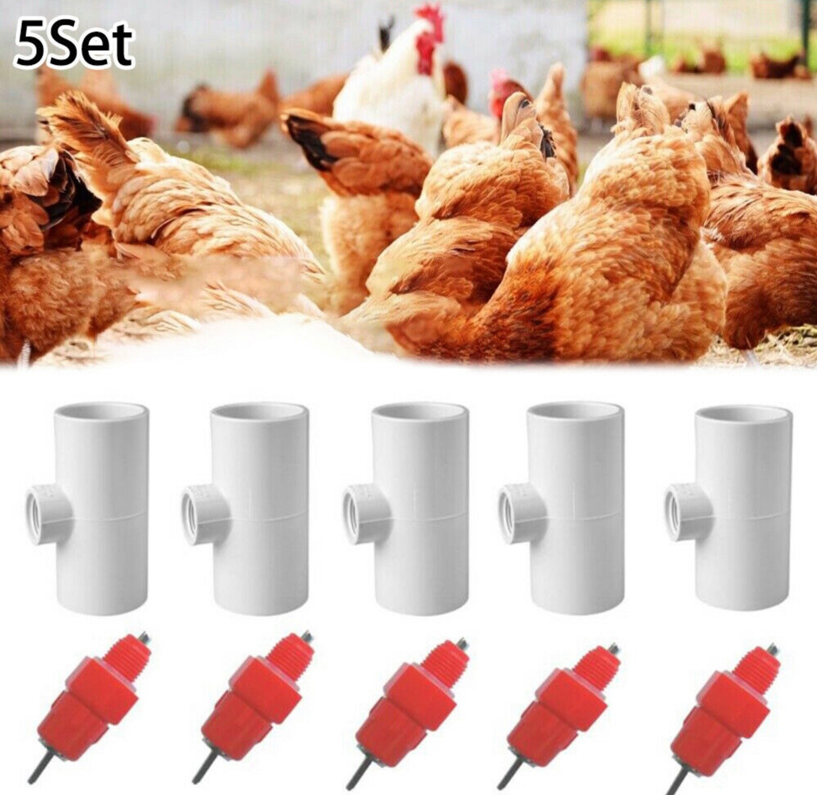 Chicken Hen Automatic Water Nipples - 5 Pack