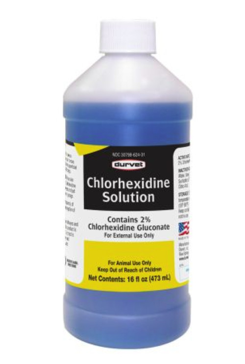 Durvet Chlorhexidine Solution 16oz for Dogs