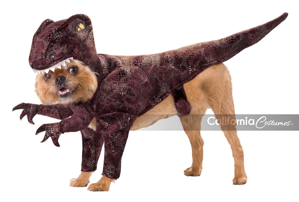 Tyrannosaurus Rex Raptor Dinosaur Dog Costume Animal Planet...