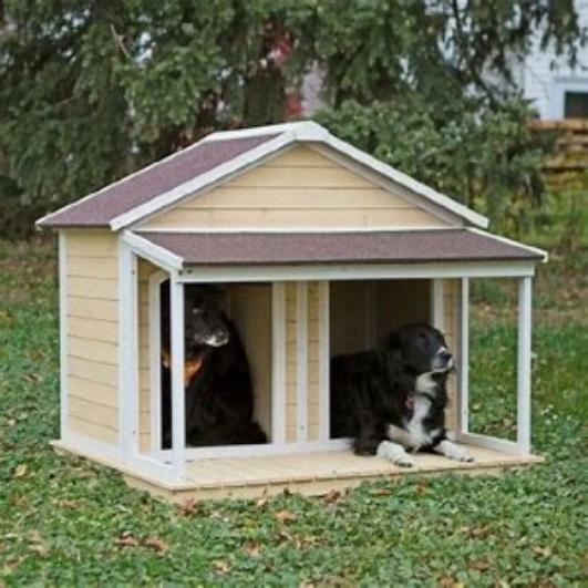 Boomer &Amp; George Medium Duplex Dog House - Antique White...