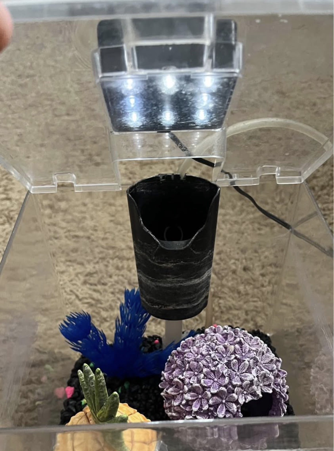 Tetra 1.5 Gallon Cube Aquarium with Filter, LED Light, and A...