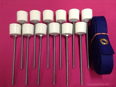 Dog Agility Equipment -12 Weave Pole Stakes Plus Blue Pole P...