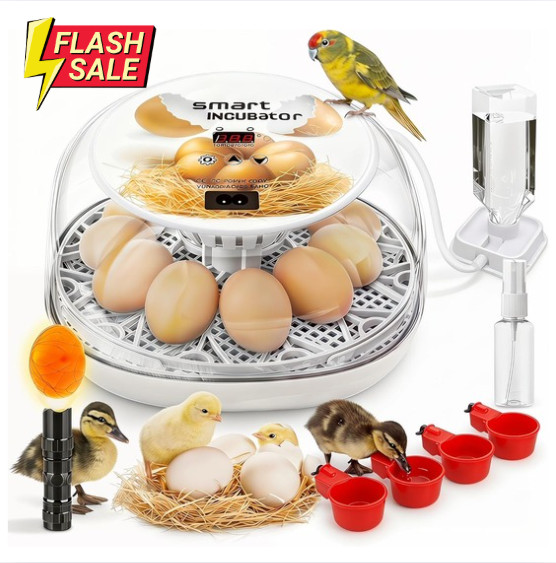 Egg Incubator - 12 Egg Capacity Hatching Kit Automatic